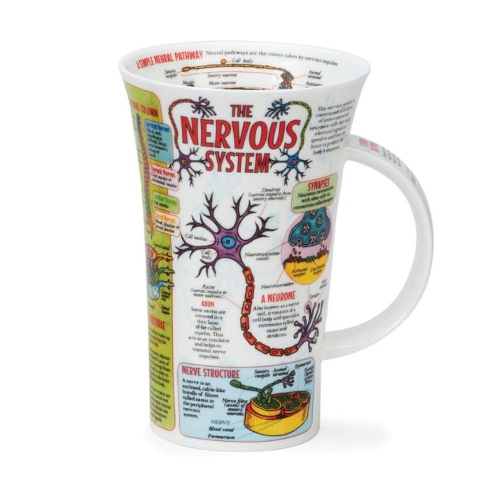 Becher Dunoon Glencoe 0.5L - The Nervous System