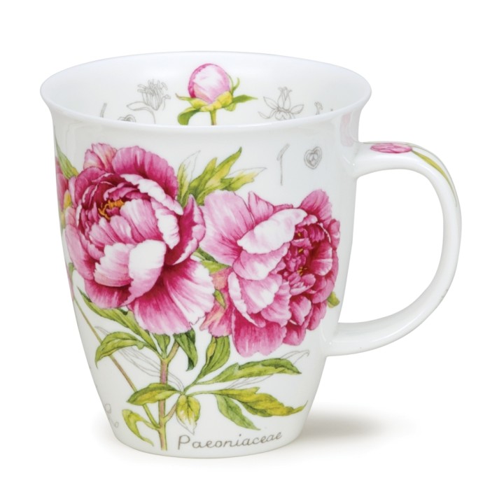 Becher Nevis Dunoon 0.48L - Botanical Sketch Peony