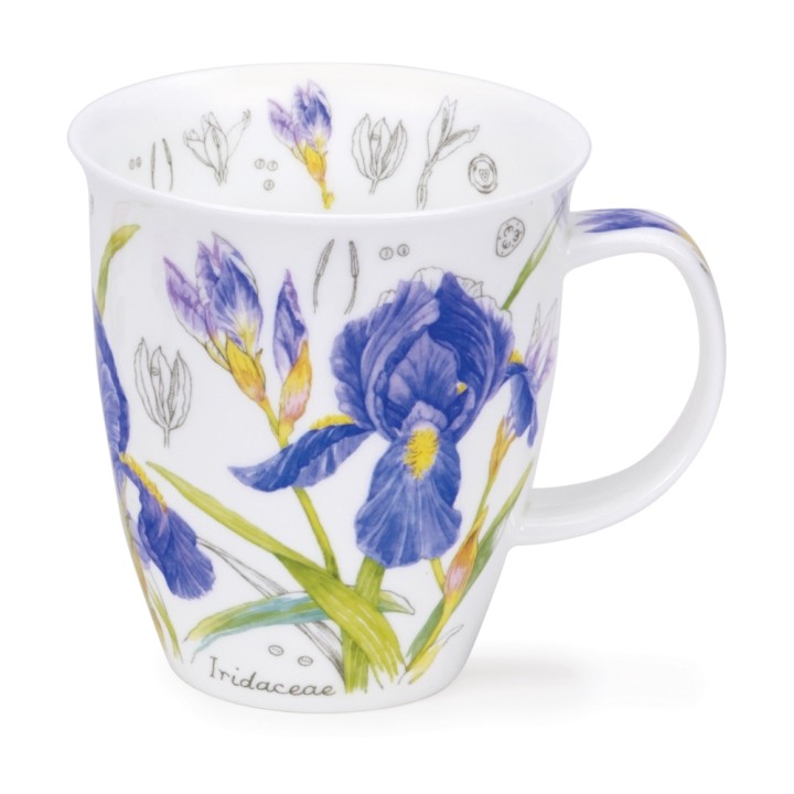 Becher Nevis Dunoon 0.48L - Floral Sketch Iris