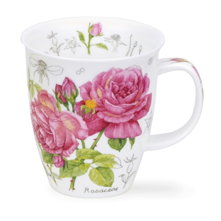 Becher Nevis Dunoon 0.48L - Floral Sketch Rose