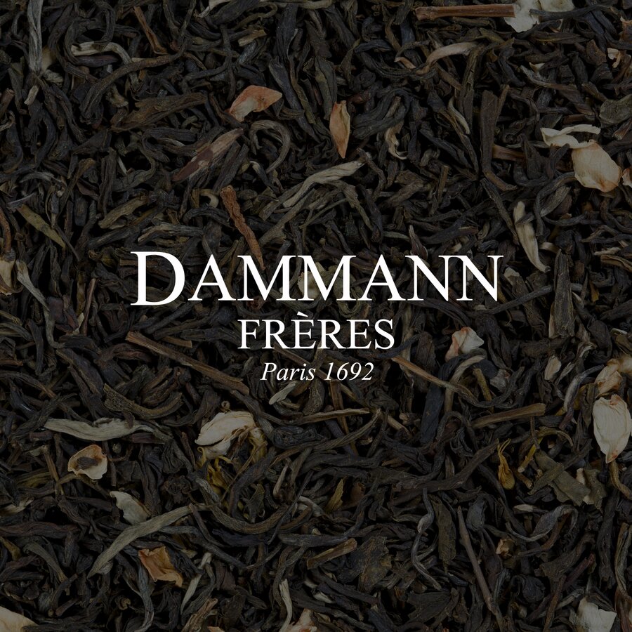 Maison Dammann
